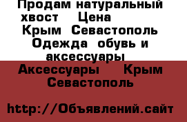 Продам натуральный хвост! › Цена ­ 3 000 - Крым, Севастополь Одежда, обувь и аксессуары » Аксессуары   . Крым,Севастополь